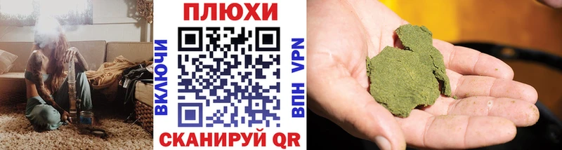 ГАШ Premium Белово