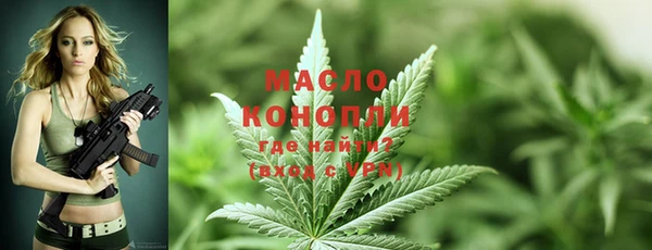 первитин Осинники