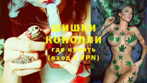 apvp Бородино