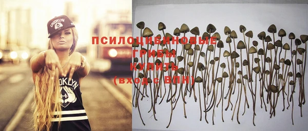 apvp Бородино