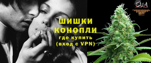 apvp Бородино