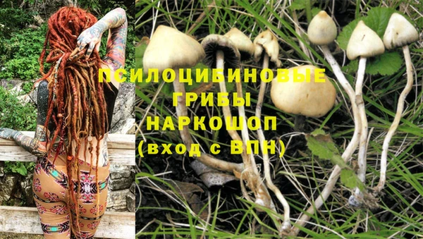 мескалин Бугульма