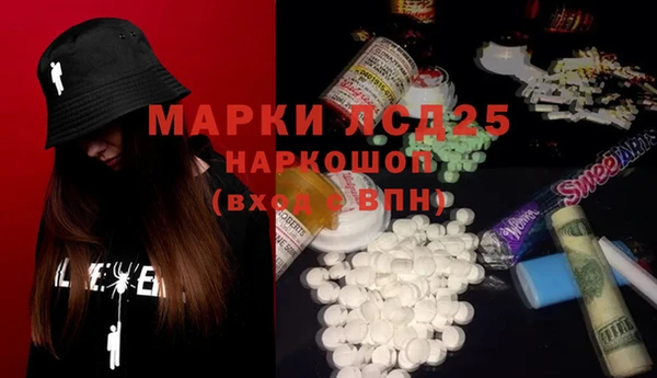 apvp Бородино