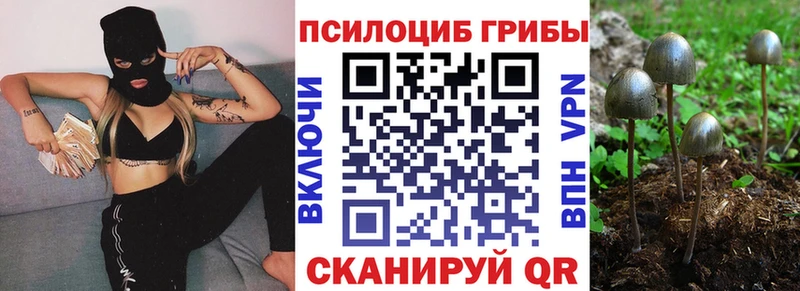 Галлюциногенные грибы ЛСД  Белово 