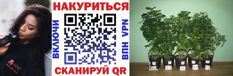 наркошоп  Белово  Шишки марихуана OG Kush 
